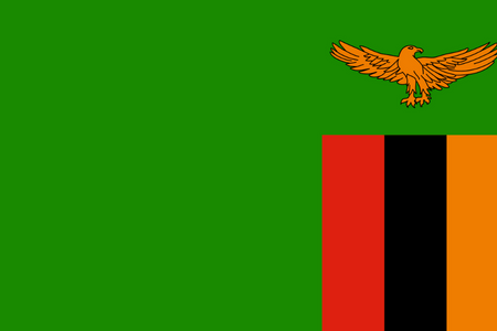Marktforschungspanel in Sambia